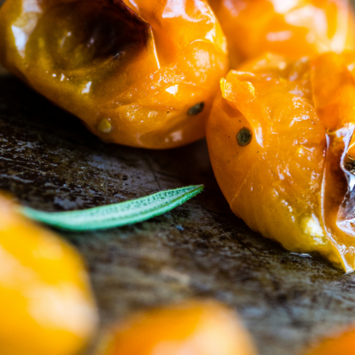 puolikuivattu keltainen tomaatti